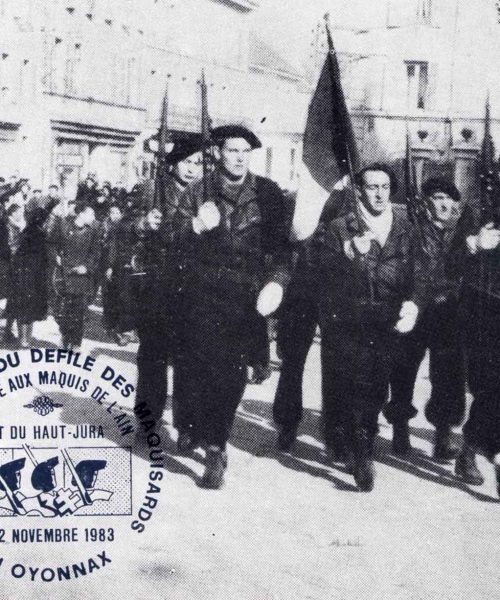 Carte postale du Défilé du 11 Novembre d'Oyonnax